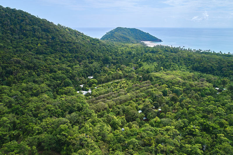 Cape Trib Farm aerial