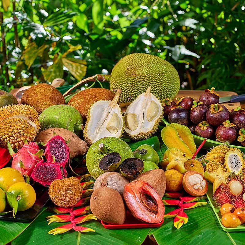 Exotic Fruit Tasting Tour