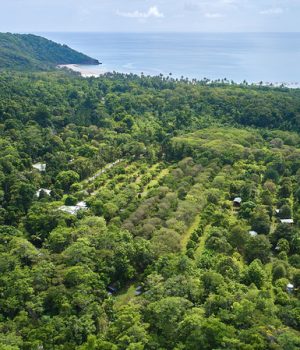 Farm stay cape Tribulation