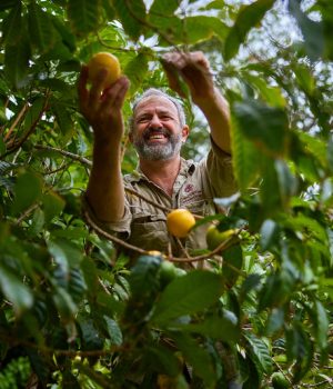 Cape Trib Farm About