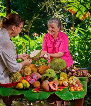 Tropical Fruit Tastings