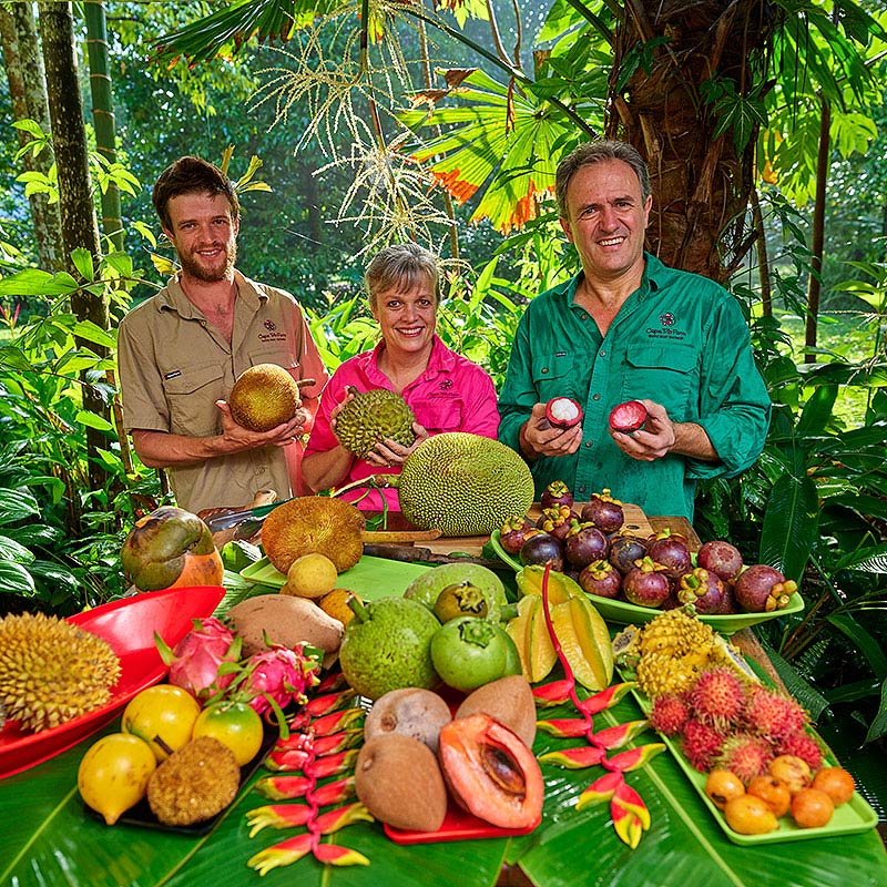 Welcome to Cape Trib Farm