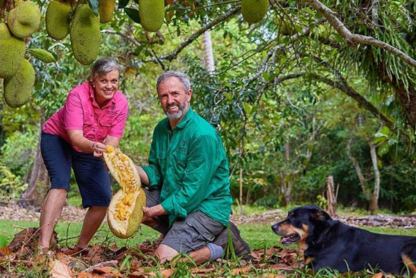 Cape Trib Farm Hosts