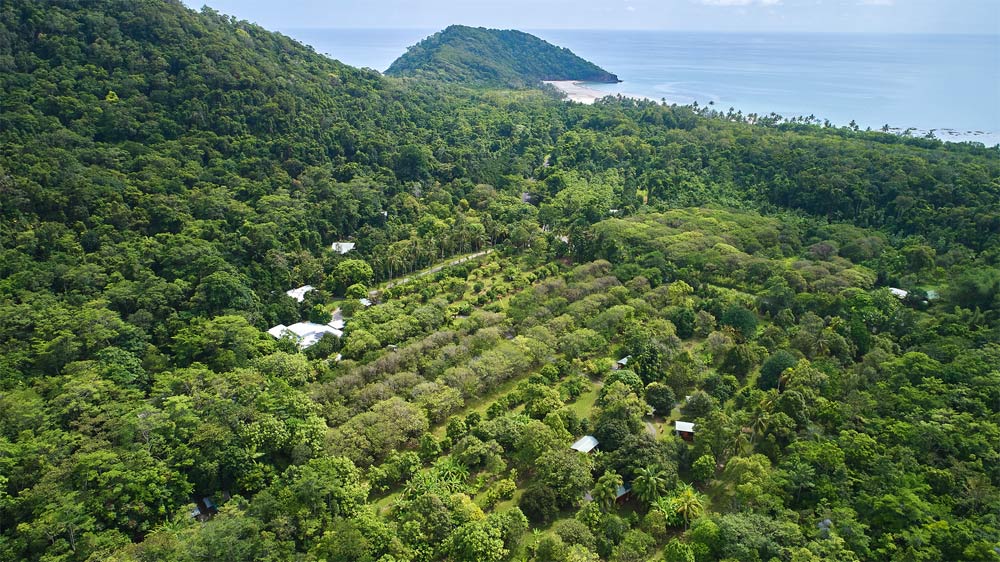 Cape Trib Farm Orchard