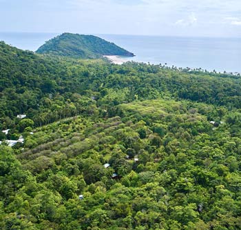 Cape Trib Fruit Farm