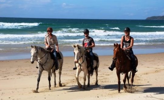 Cape Trib Horse Rides