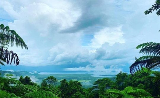 Daintree Discovery Centre