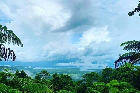 Daintree Rainforest