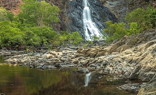 Rainforest Walks Daintree